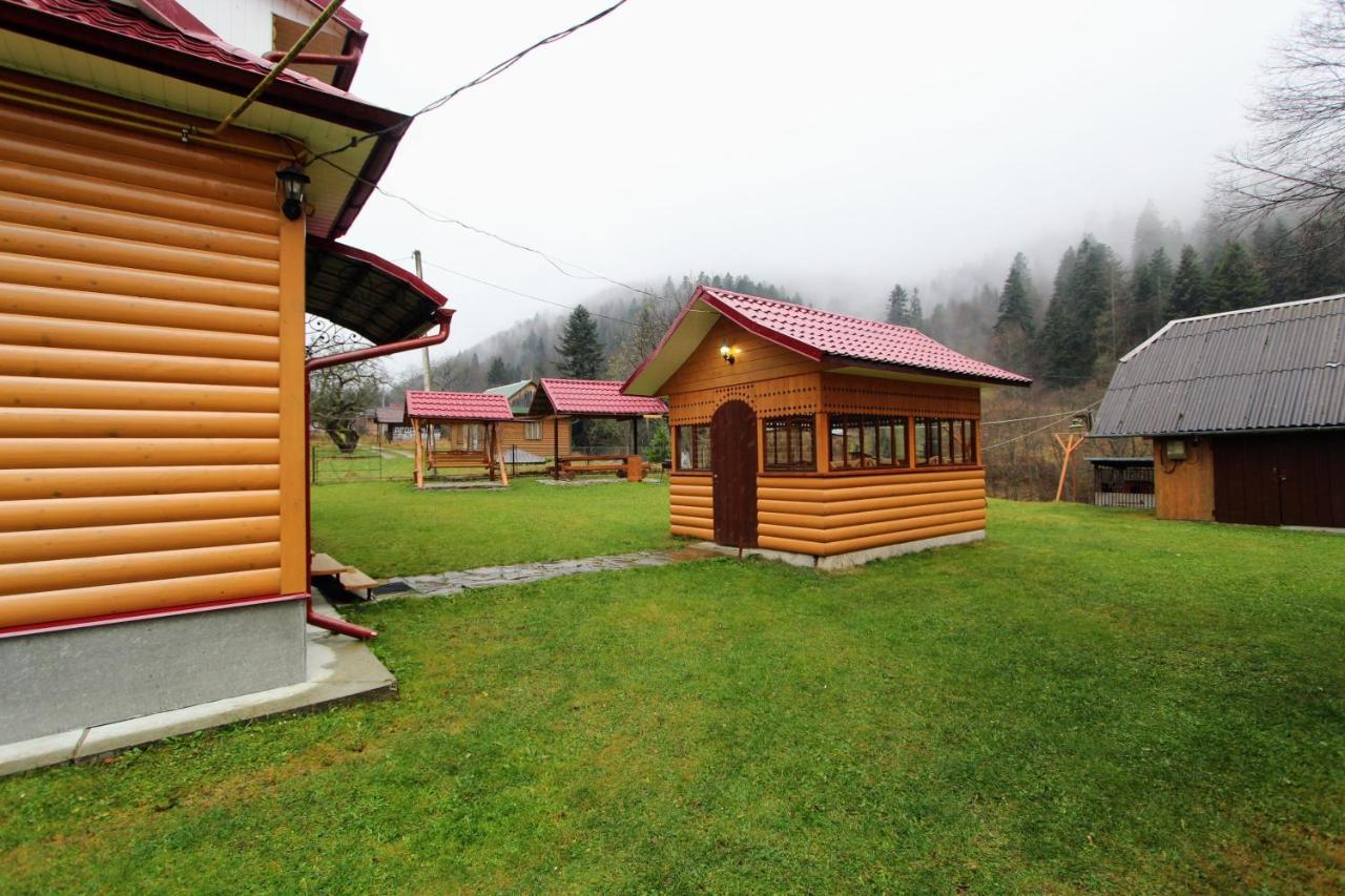 Карпатська Полонина Appartement Jaremtsje Buitenkant foto