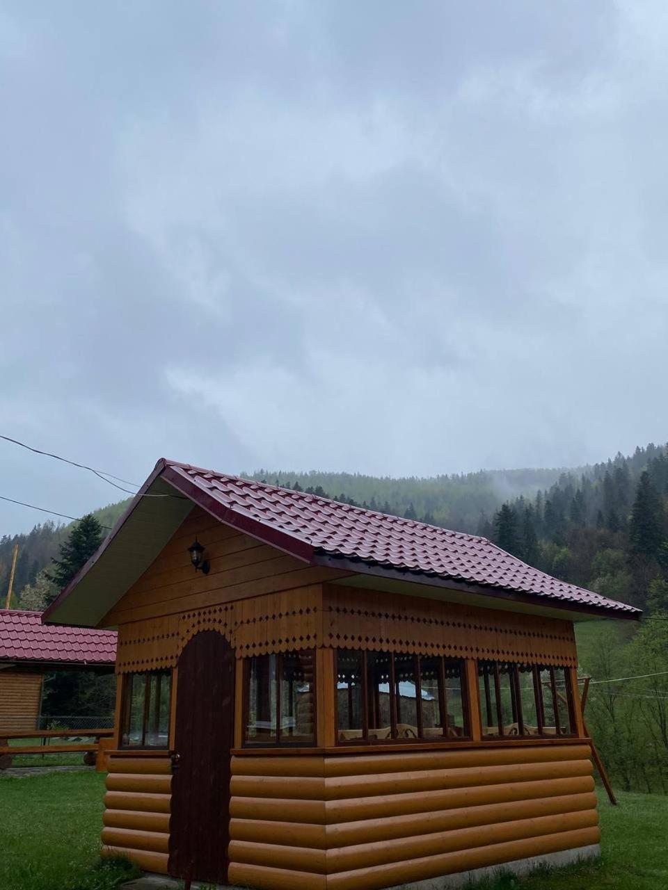 Карпатська Полонина Appartement Jaremtsje Buitenkant foto